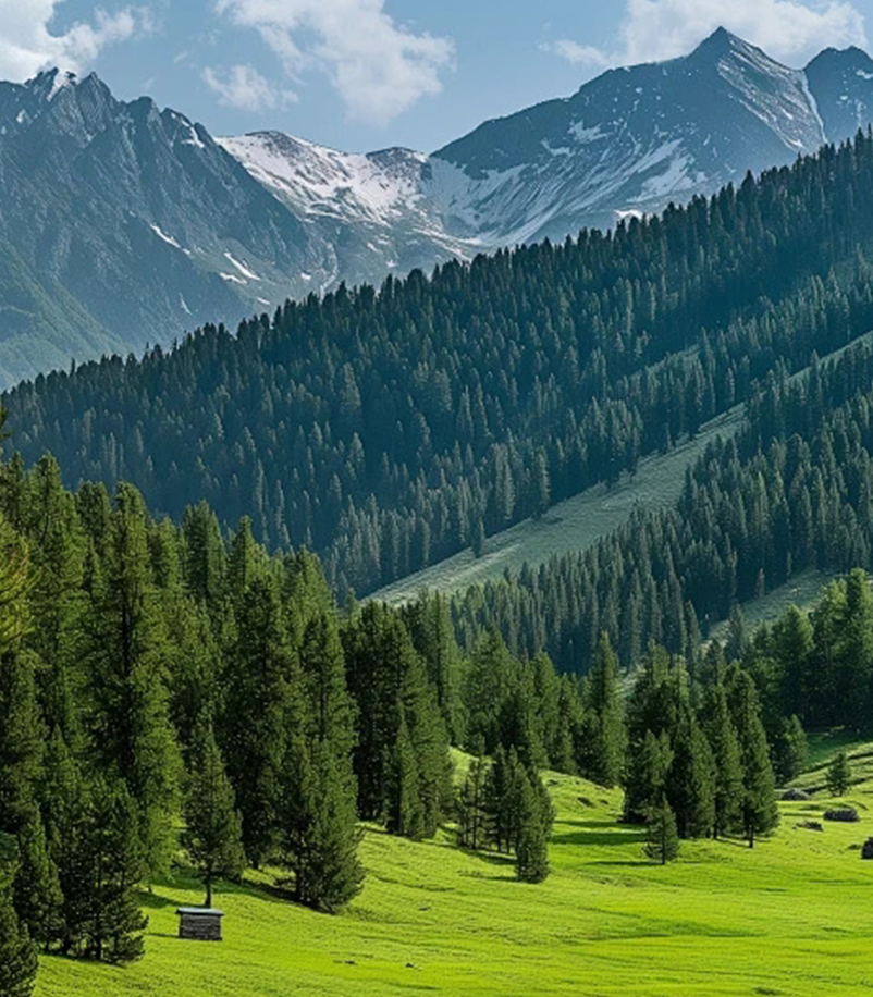 Sustainable Nature