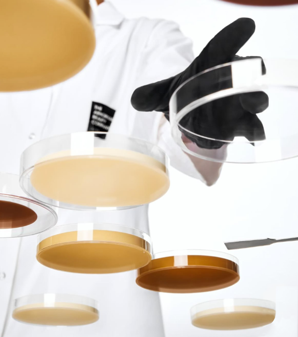 Step 3 Lab Formulation